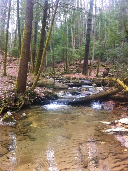 Buck Trail - 4